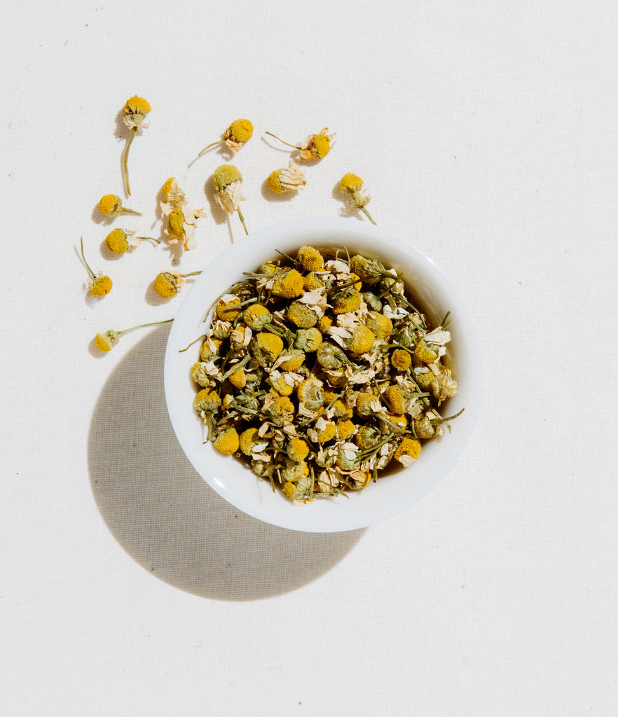 Bulk Egyptian Chamomile Tea Fair Trade Art of Tea Art of Tea
